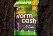 Worm casts